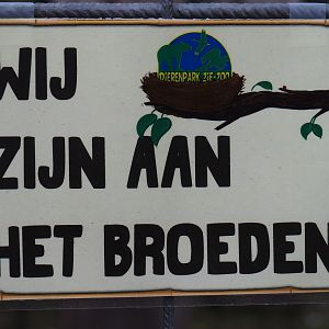 We are incubating eggs sign, 2019-04-06