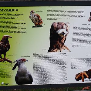 Information sign about birds of prey, 2019-04-06