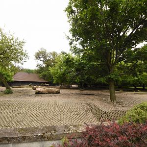 Hartmann's mountain zebra enclosure