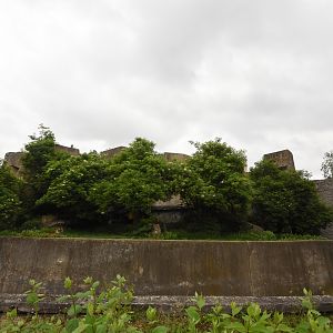 Sumatran tiger enclosure