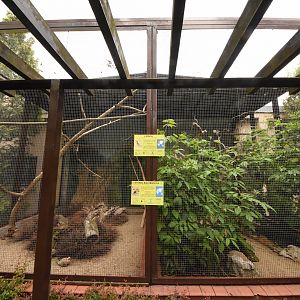 Bird house - Outdoor aviary