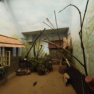 Bird house - Indoor aviary