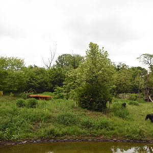Chimpanzee outdoor enclosure