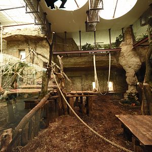 Part of Chimpanzee indoor enclosure