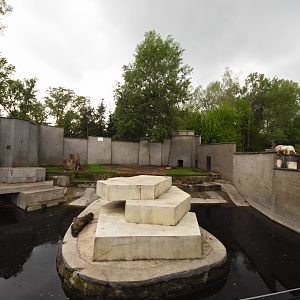 Polar bear enclosure