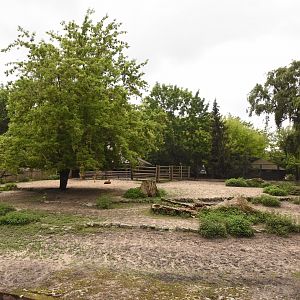 Nile lechwe enclosure
