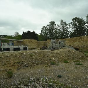 New Polar bear enclosure - enclosure 1