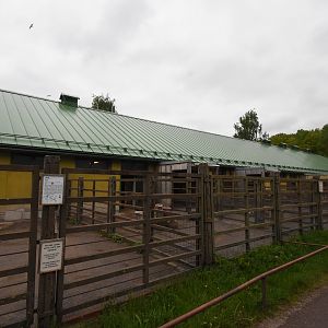 Old hoofstock enclosures
