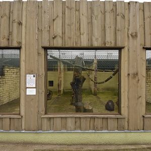 Typical monkey enclosure