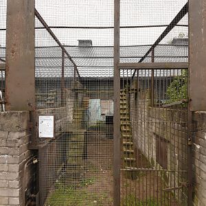 Old carnivore enclosure