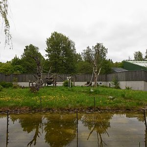 Chimpanzee outdoor enclosure