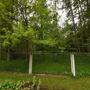 Maned wolf enclosure