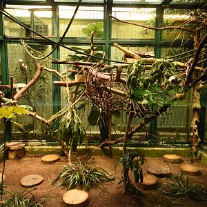 Tamarin indoor enclosure