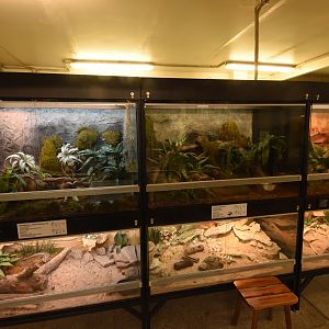 Terraria in Elephant house