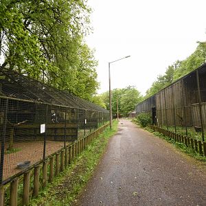 Bird of Prey aviaries