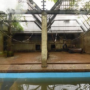 Japanese macaque cage