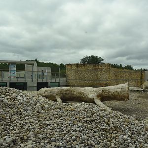 Polar bear enclosure