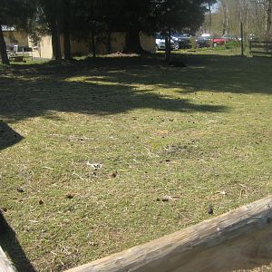 Farm Fun - Petting exhibit #5