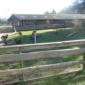 Farm Fun - Petting exhibit #6
