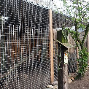 Kea aviary, 2019-04-06