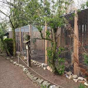 Kea aviary, 2019-04-06