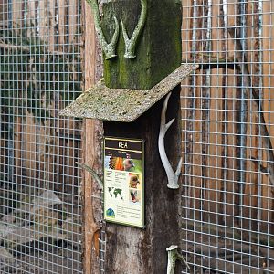 Kea sign with sika deer antlers, 2019-04-06