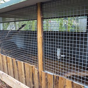 Asian small-clawed otter holding, 2019-04-06