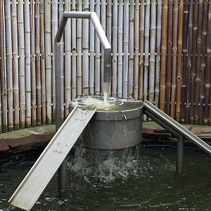 Strange contraption in the Asian-small clawed otter exhibit, 2019-04-06