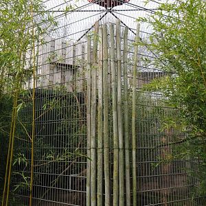 Binturong exhibit, 2019-04-06