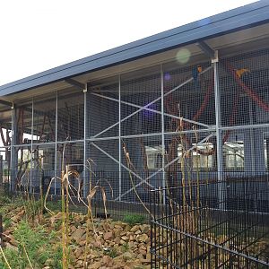 South America house, 2019-04-06