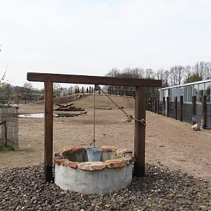 Mixed South American exhibit, 2019-04-06