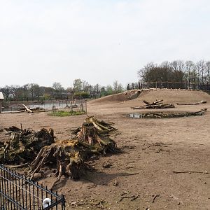 Mixed South American exhibit, 2019-04-06