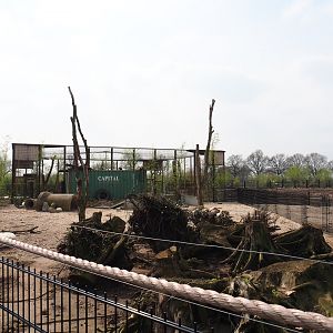 Southern white-lipped peccary pen, 2019-04-06