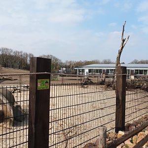 Southern white-lipped peccary pen, 2019-04-06