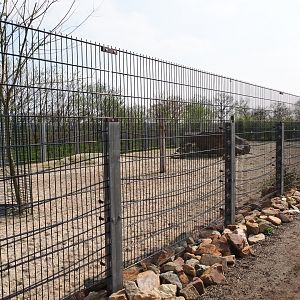 Rocky Mountain goat paddock, 2019-04-06