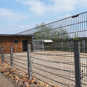 Rocky Mountain goat paddock and barn, 2019-04-06
