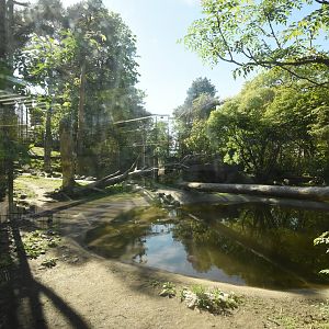 Siberian tiger enclosure