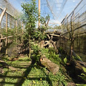 Wild cat enclosure