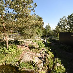 European otter enclosure