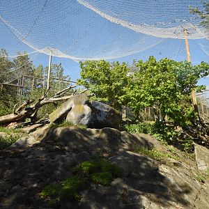 One of four snow leopard enclosures