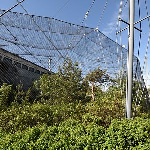 Steller's sea eagle and Common raven aviary