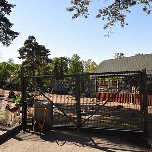 Part of Goitred gazelle enclosure