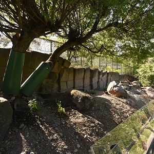 Alpine marmot enclosure