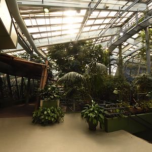 S-American tropical house