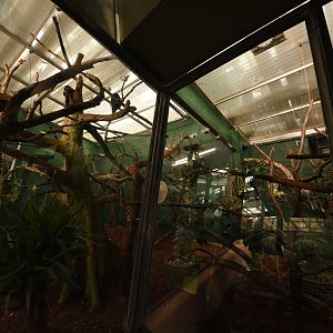 White-faced saki & sloth enclosure