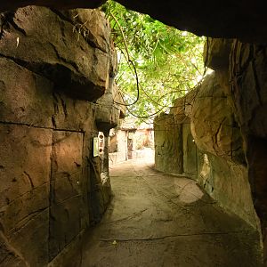 Reptile terraria in Asian house