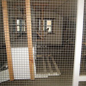 Farm Fun - Chicken coop