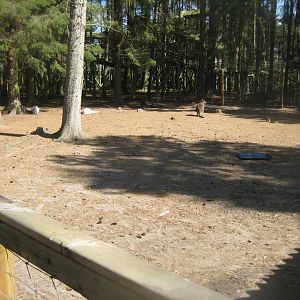Farm Fun - Wallaby exhibit
