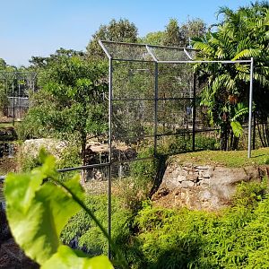 looking from the waterfall towards the White Lions