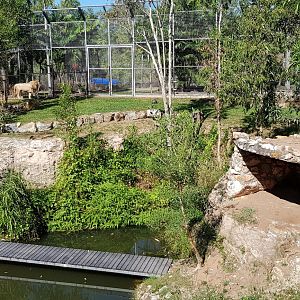 White Lions enclosure